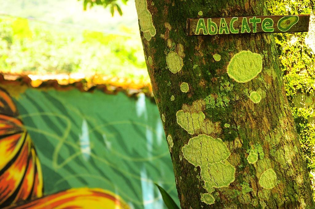 Hostel Casa Da Malu Vila do Abraao ภายนอก รูปภาพ